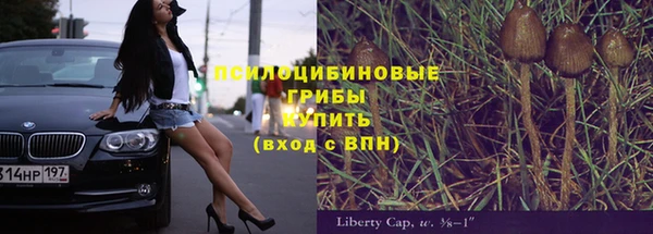 гашик Каменск-Шахтинский